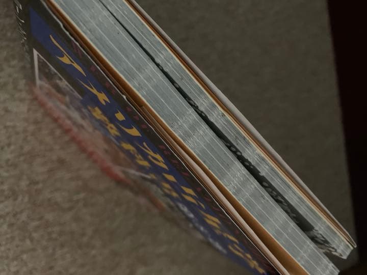 アメリカ占星学教科書　第8巻　前世の人間関係、その他