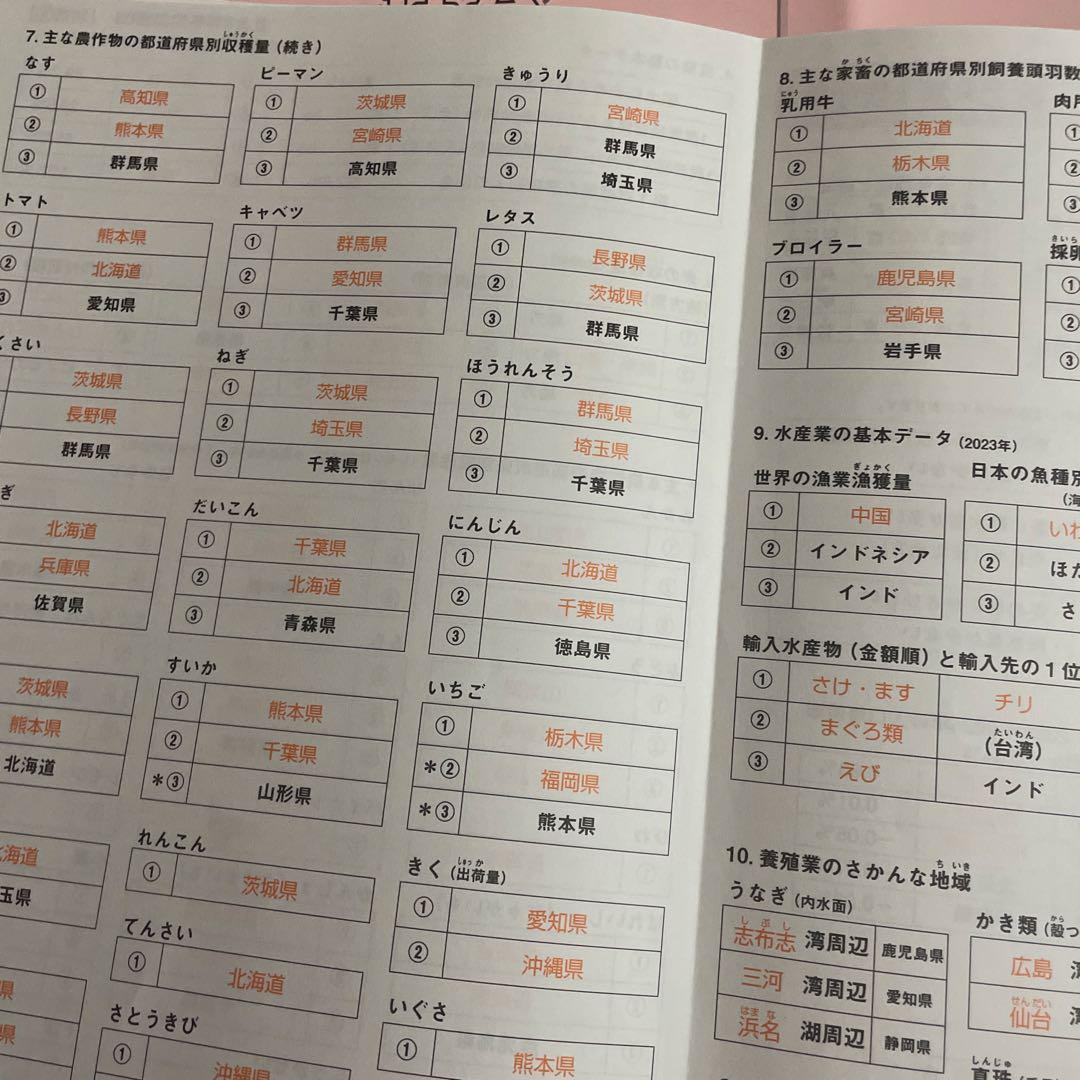 SAPIX 社会 6年生テキスト1年分 2025年度版 欠番なし