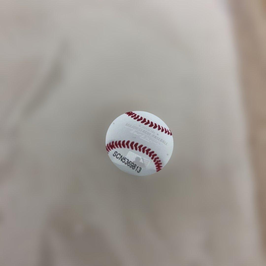 M0317-10 非売品★2025 ドジャース ファンクラブ特典 大谷翔平