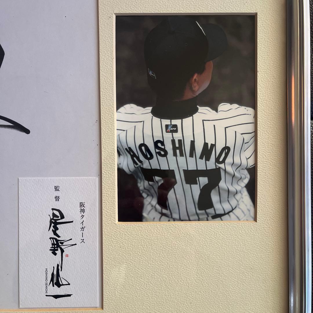【希少】元阪神タイガース監督　星野仙一監督　サイン色紙（写真付き）額縁