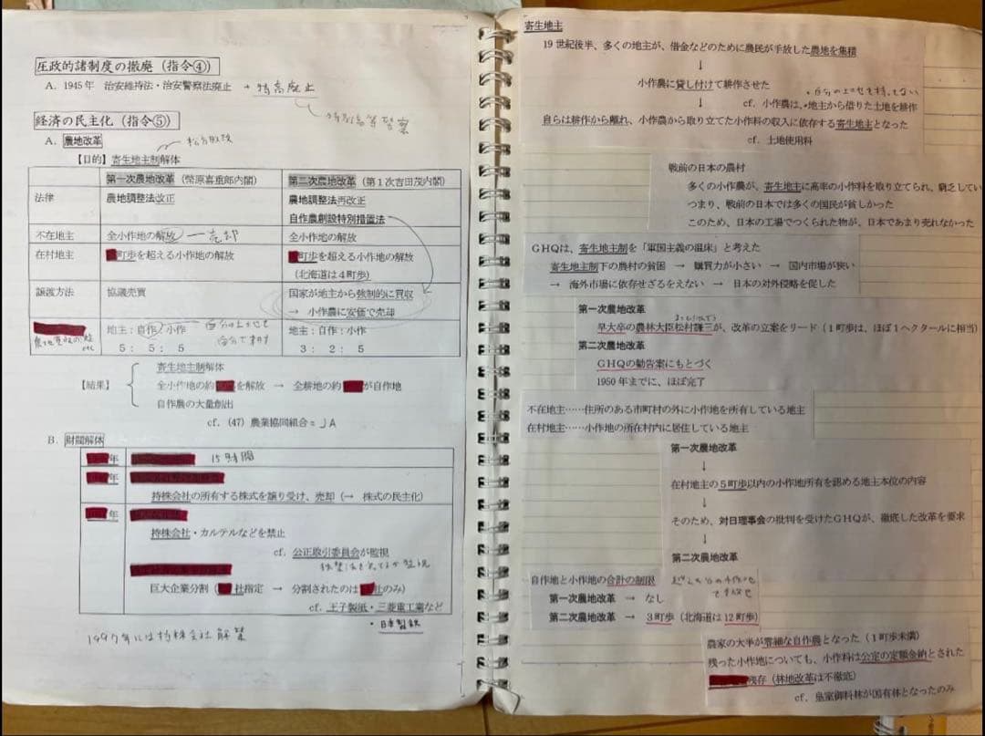 駿台予備学校 日本史 通史