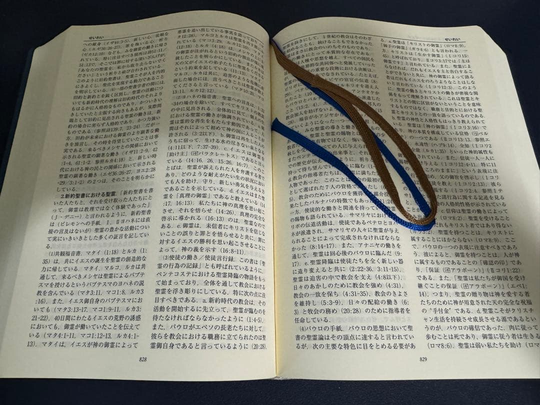 新聖書辞典　絶版　聖書