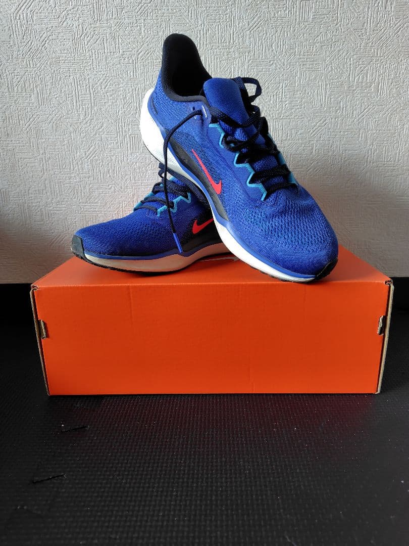 NIKE　ナイキ　ズームペガサス41 25.5cm