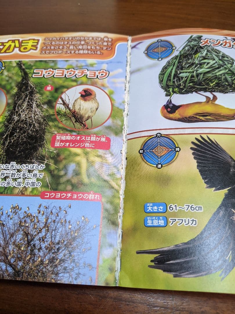 どっちが強い!?／最強王図鑑シリーズ /その他まとめ売り 全21冊セット