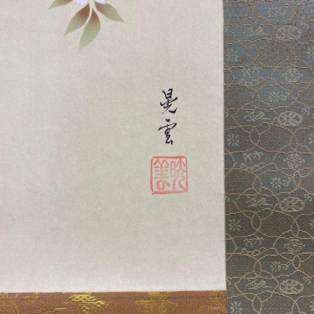 美品 掛け軸 山本晃雲作 枝垂れ桜図 共箱 花鳥 縁起物