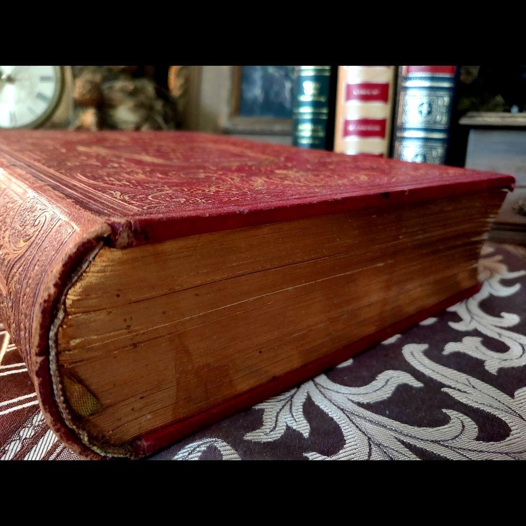 ⭐超希少⭐️２９cm【フランス製の古い洋書】革製の高級感ある洋古書 １冊