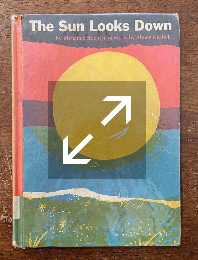 絵本　The Sun Looks Down : Abner Graboff