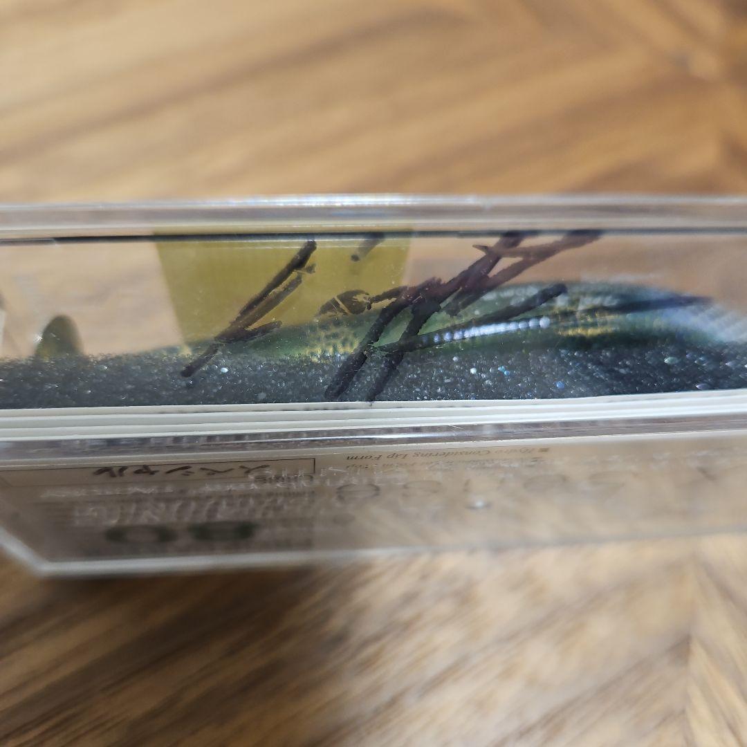 Megabass 超激レア、メデューサセット2001年