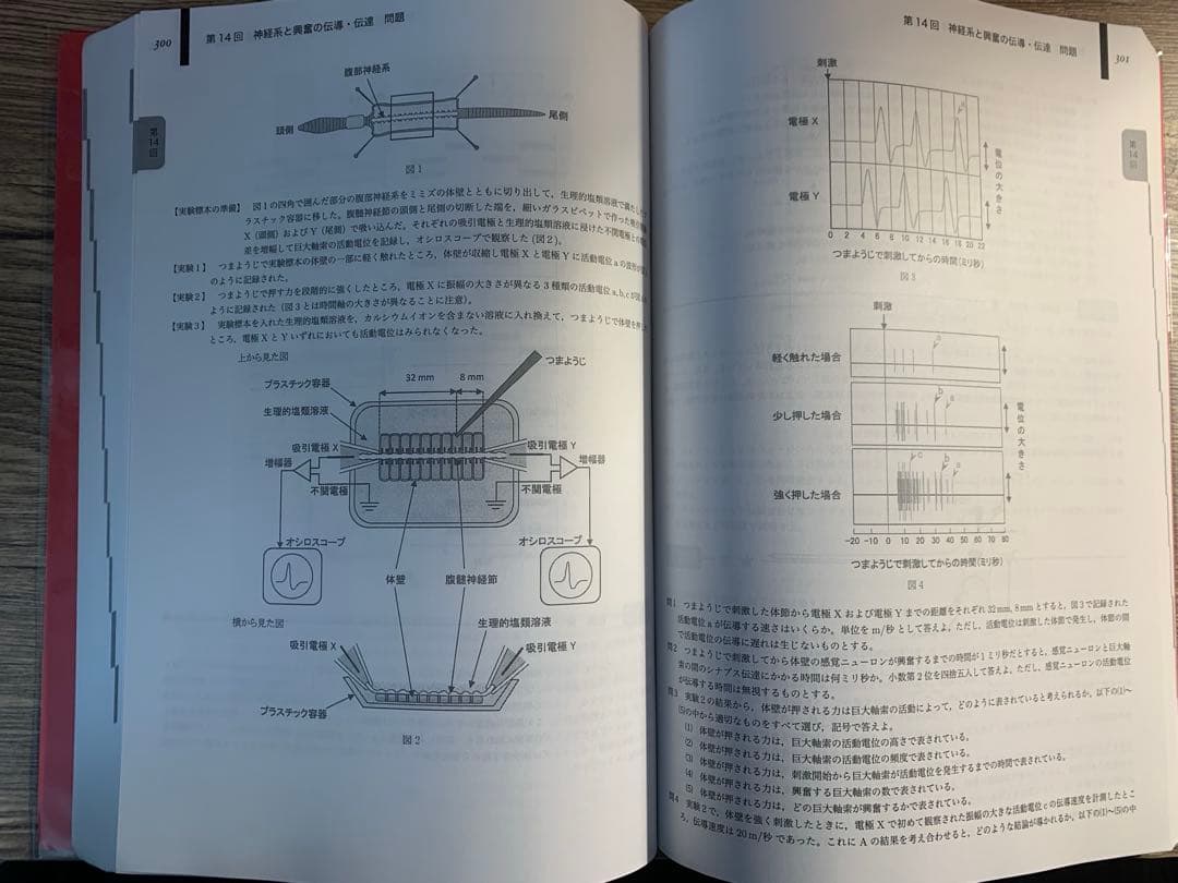 【美品/書き込みなし】鉄緑会 高3生物 生物発展講座 問題集 2023年度