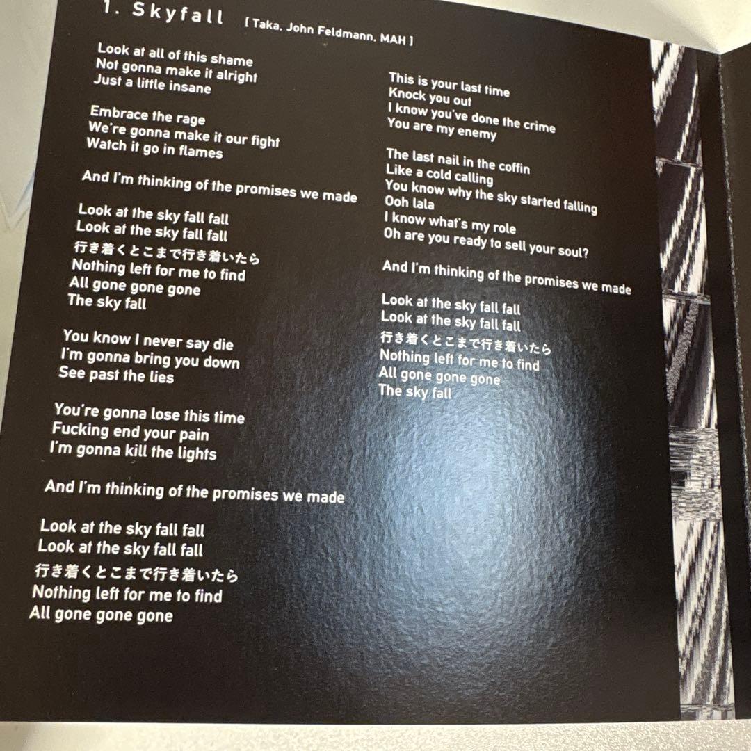 ONE OK ROCK Skyfall 会場限定 正規品 ワンオクロック　CD
