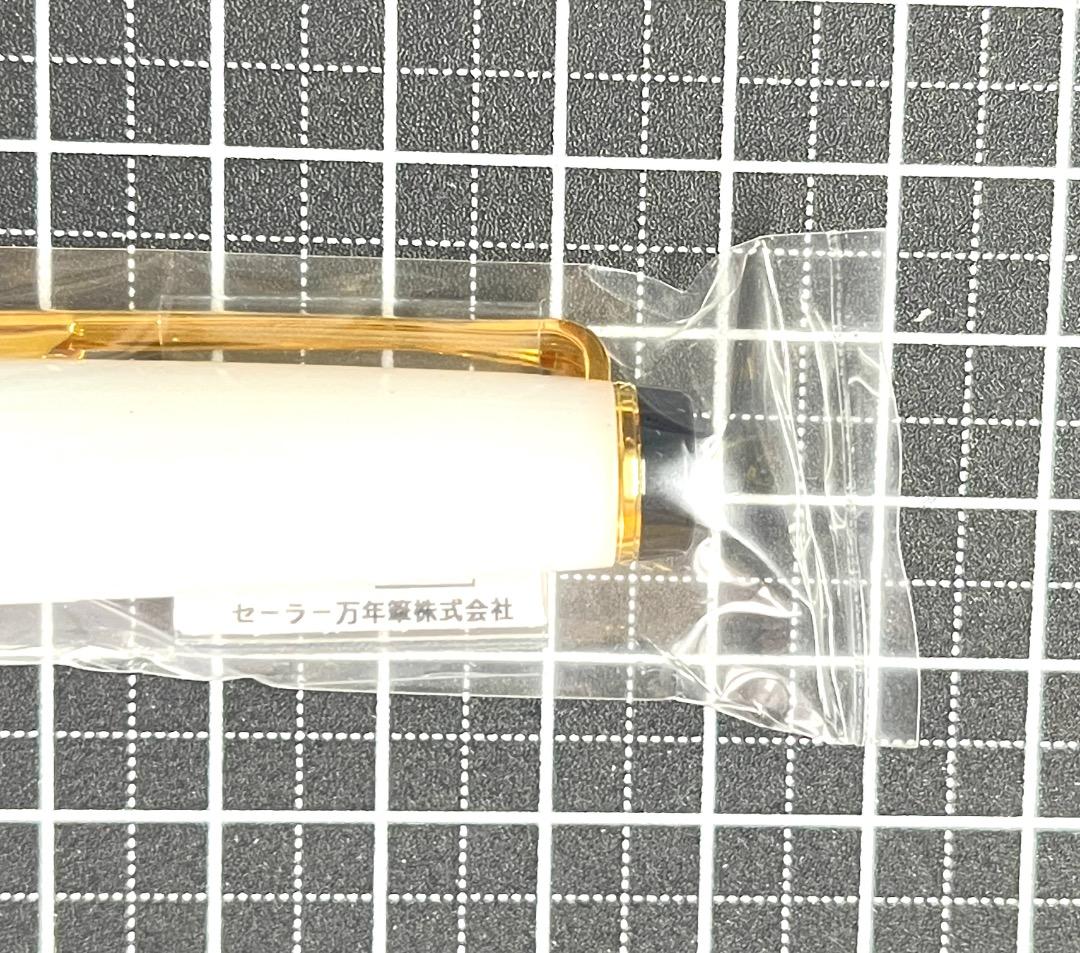 セーラー万年筆　四季織　雪月空葉　垂雪　(MF)