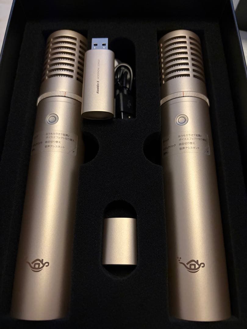 [popIn Aladdin] Aladdin Mic2本セット