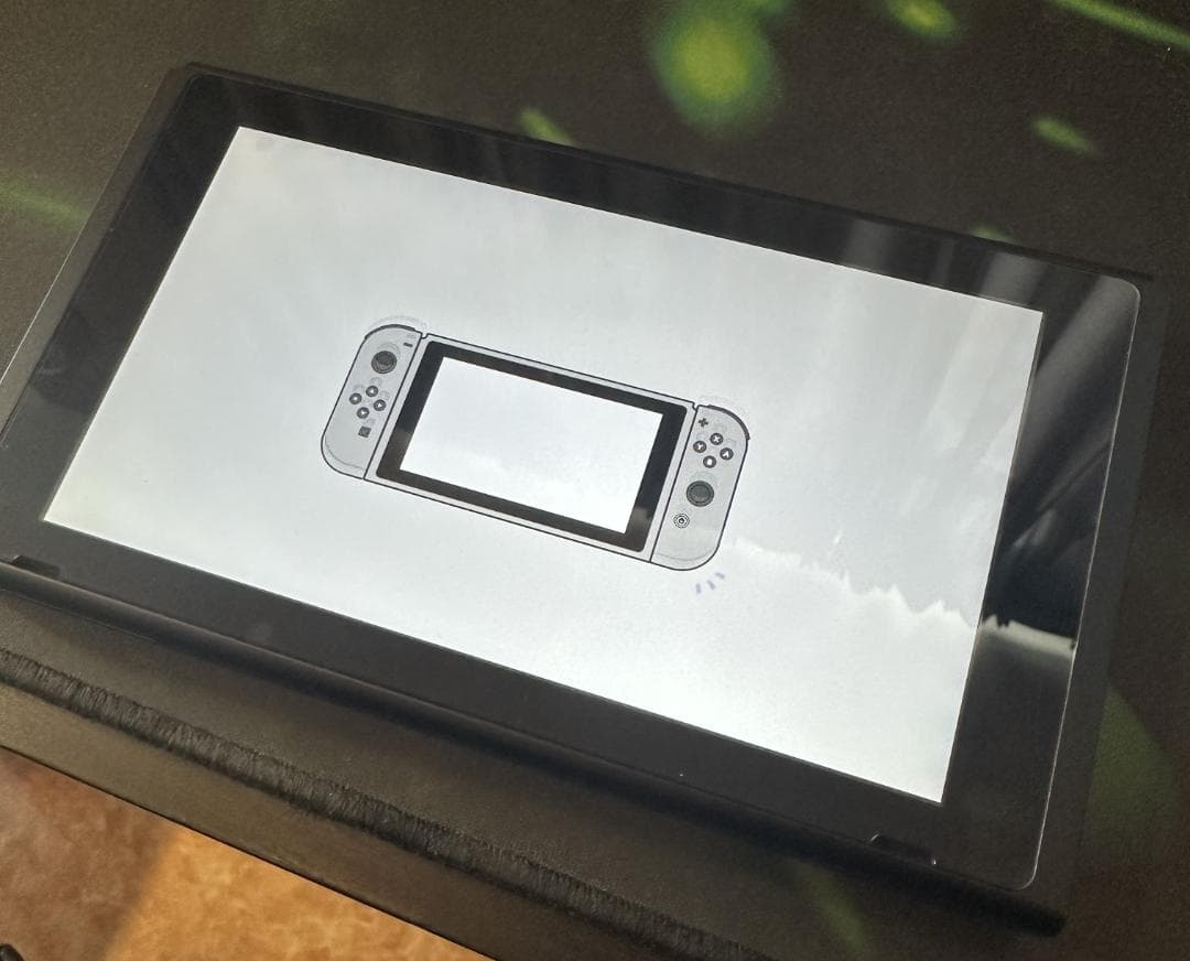 モンスターハンターライズ Nintendo Switch 本体 完品