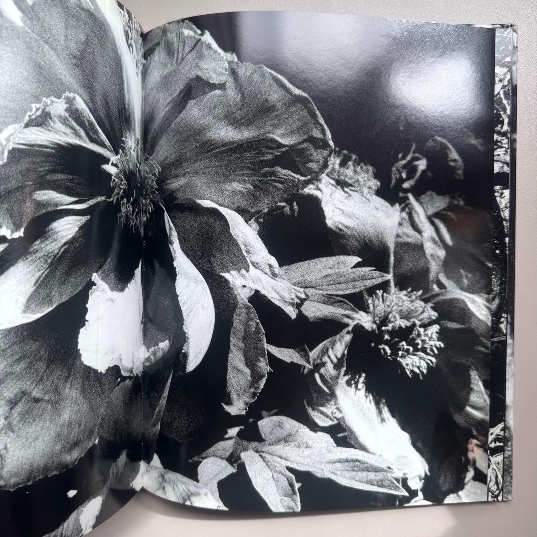 DAIDO MORIYAMA 森山大道