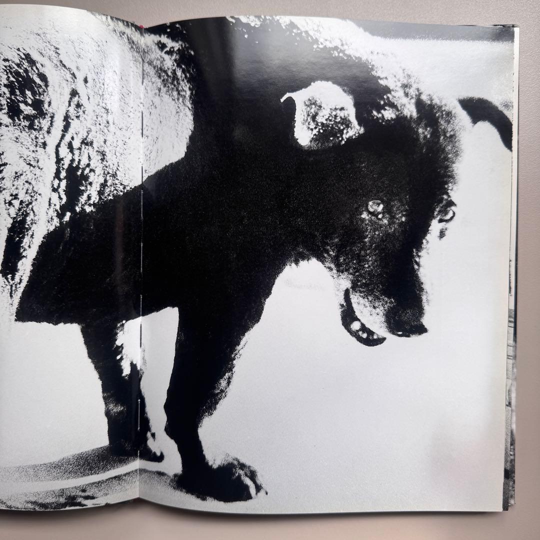 DAIDO MORIYAMA 森山大道
