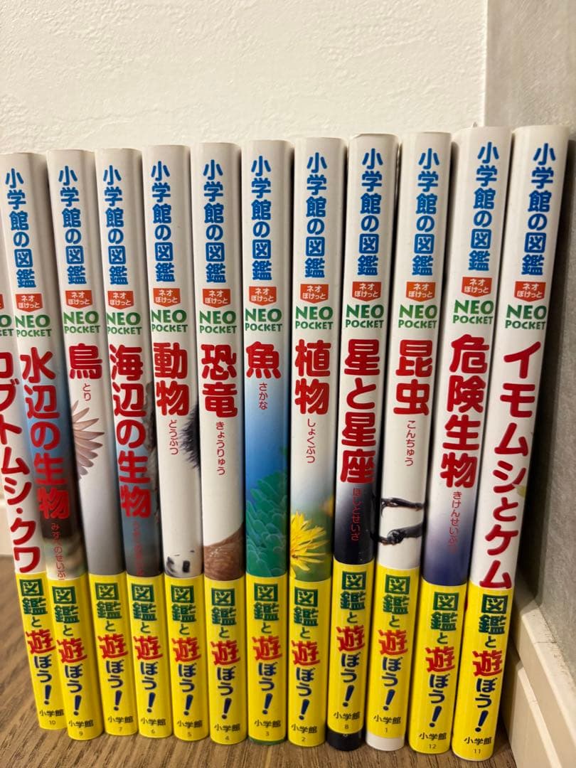 小学館図鑑neoaポケット13巻