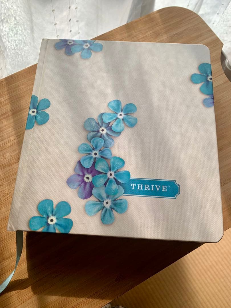 ★週末値下げ【希少品】英語の聖書　NLT Thrive Bible ノート欄付き