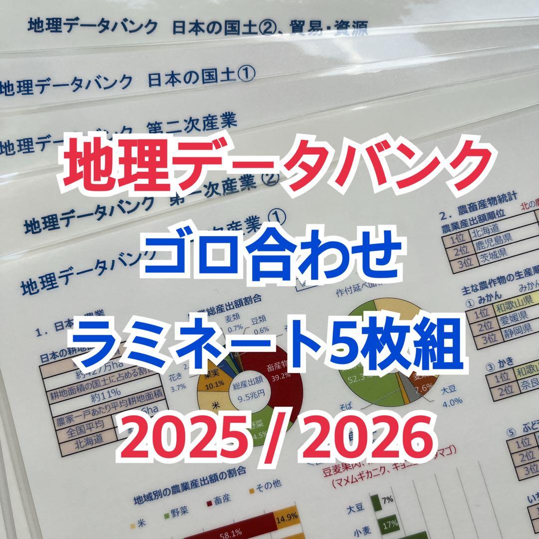 えびしお様 リクエスト 9点 まとめ商品