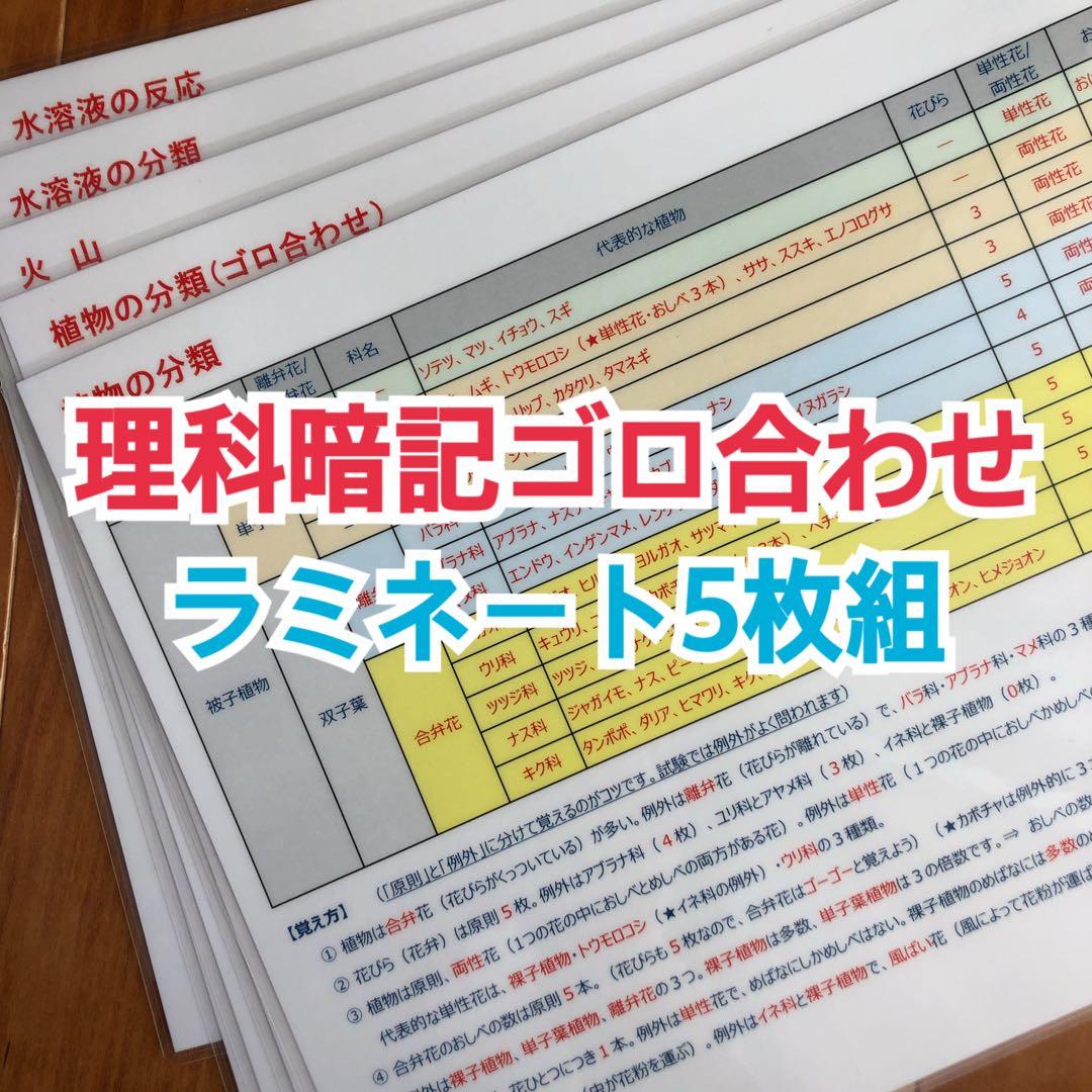 えびしお様 リクエスト 9点 まとめ商品