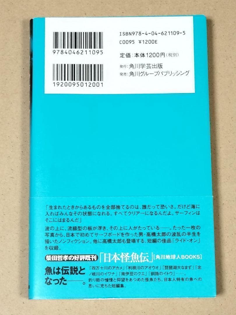 サーフィングラフィティー