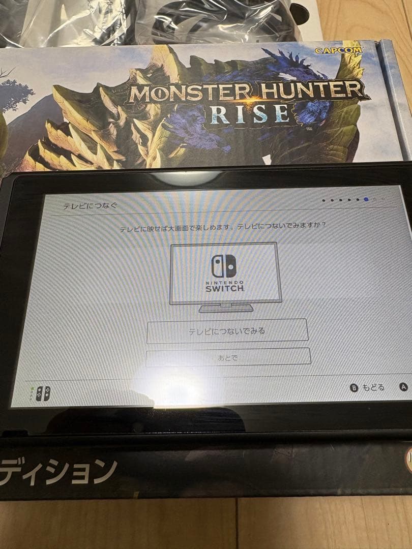 R*G様 Nintendo SWITCH モンスターハンターライズ 液晶難あり