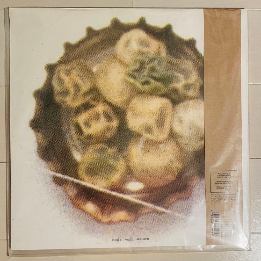 夏のぬけがら レコード アナログ 真島昌利 LP アナログ