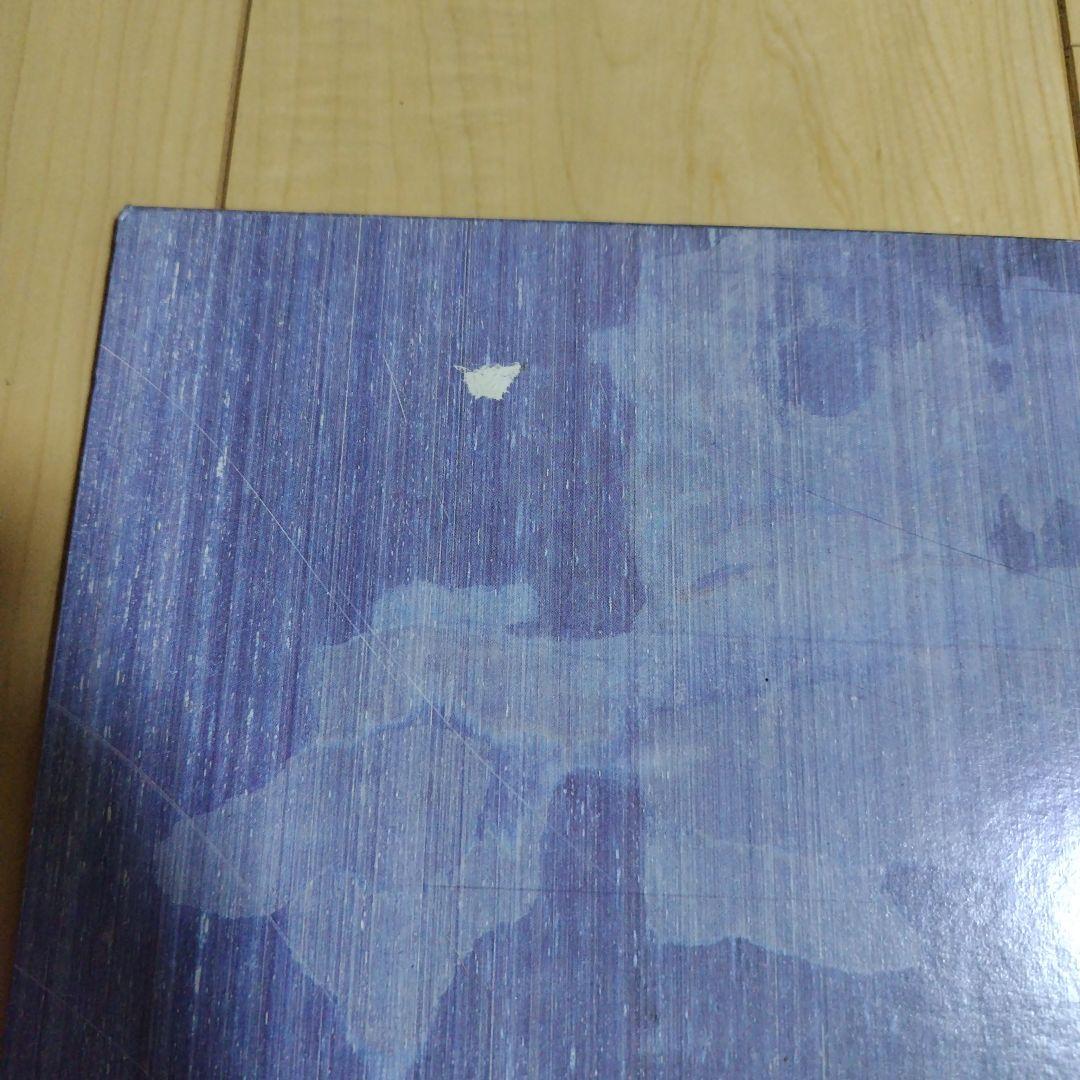 【帯付国内盤】ニュー・オーダー / ブラザーフッド レコード New Order