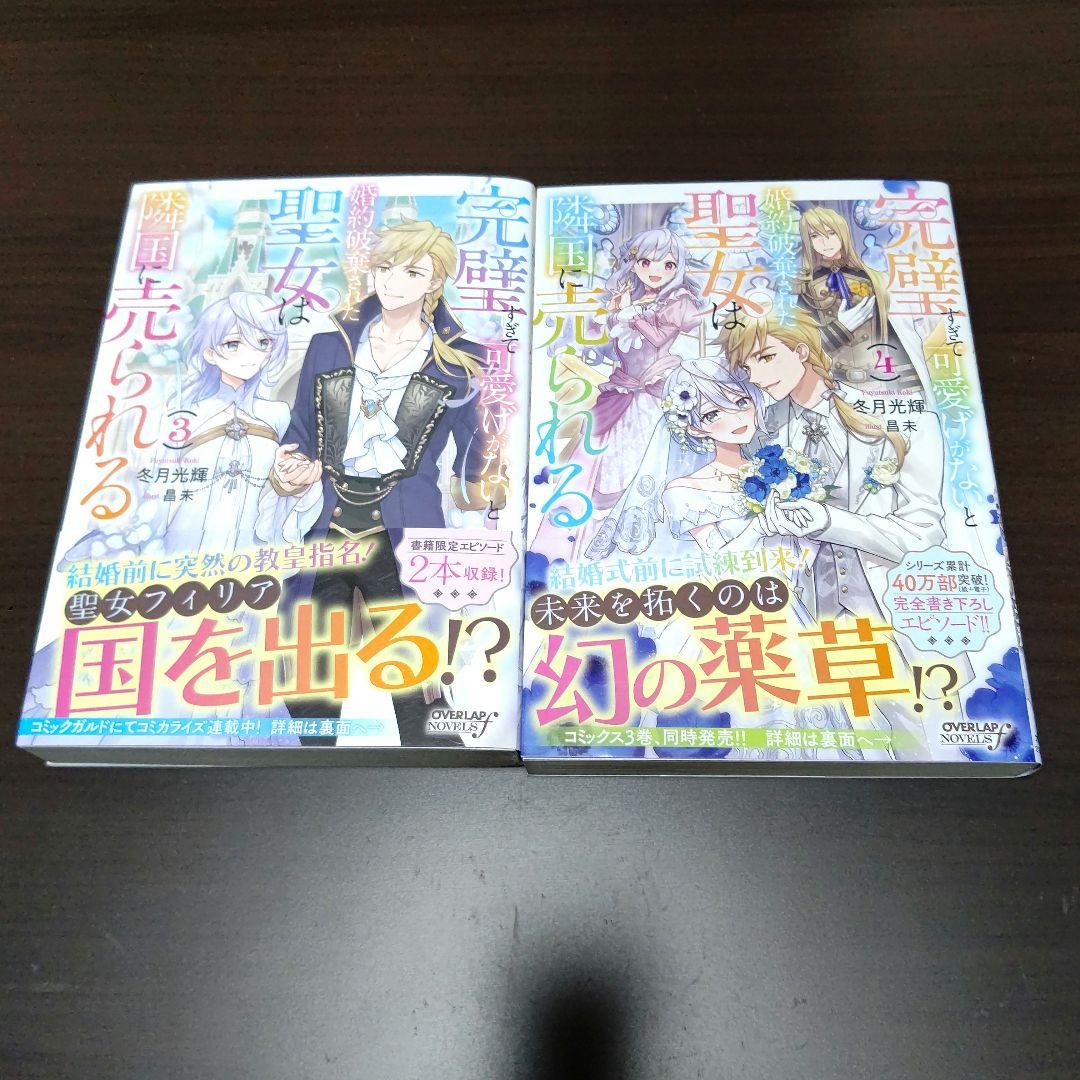 完璧すぎて可愛げがないと婚約破棄された聖女は隣国に売られる 1～8巻