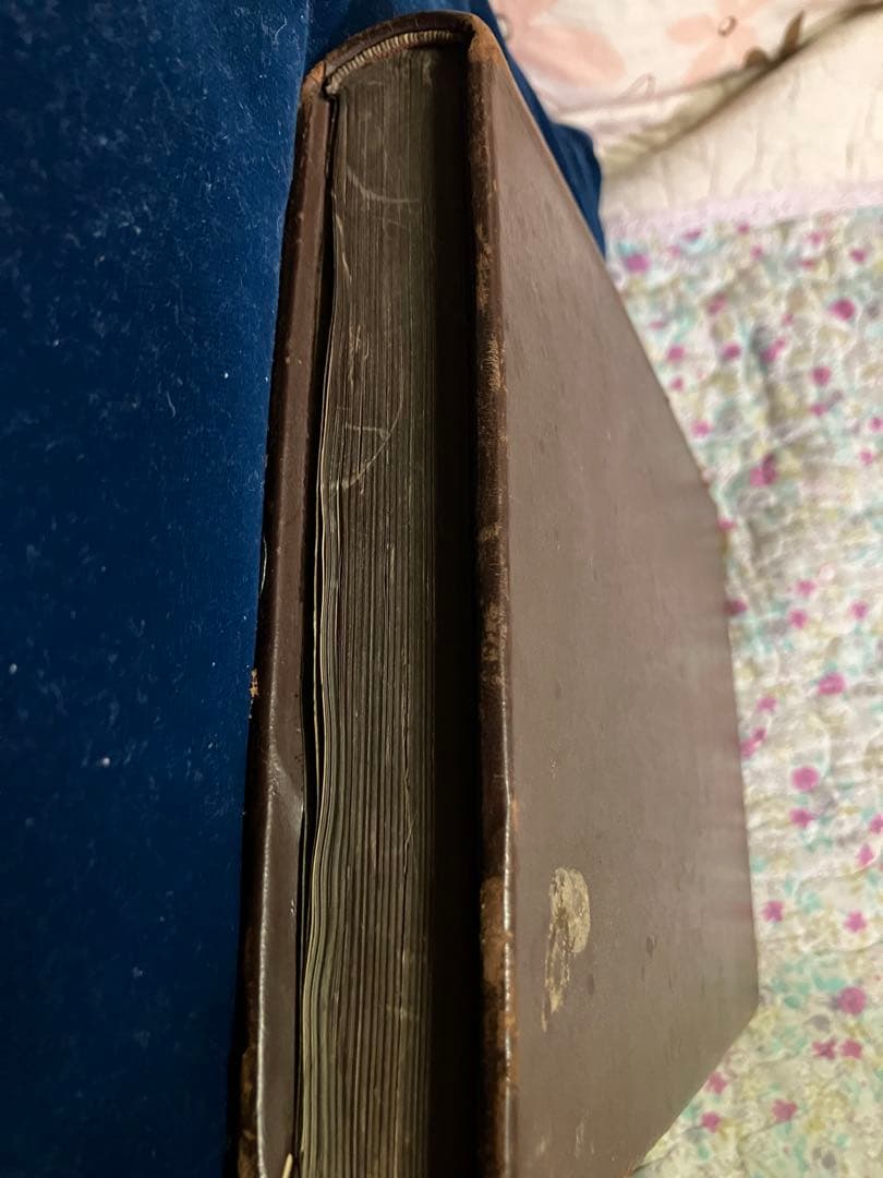 メ5361 書籍「Danmark i Fest og Glæde」