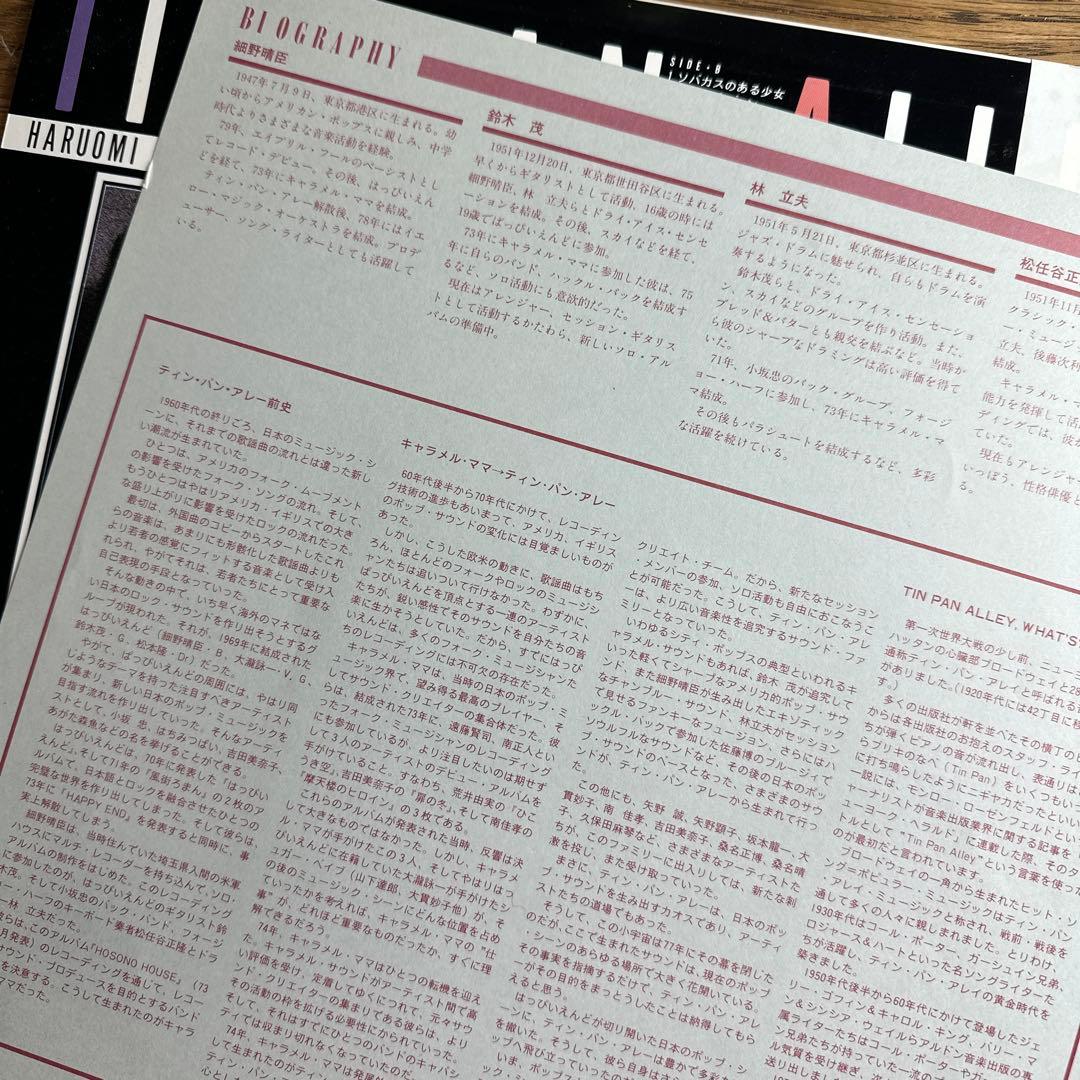 【超希少・帯付き】TIN PAN ALLEY - S/T
