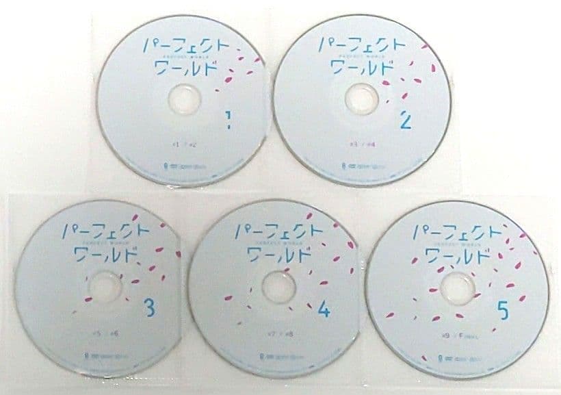 パーフェクトワールド DVD 全巻 セット ドラマ 松坂桃李 山本美月 松重豊