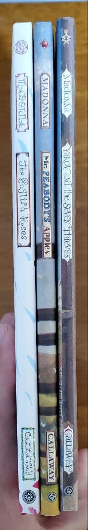 洋書 Madonna: 3 Book Collection