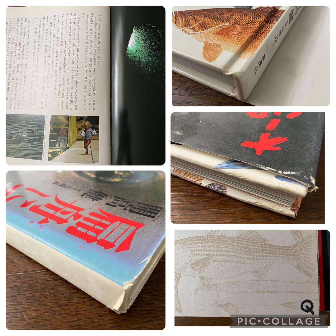 【総額10100円相当】開高健 オーパ、オーパ！他