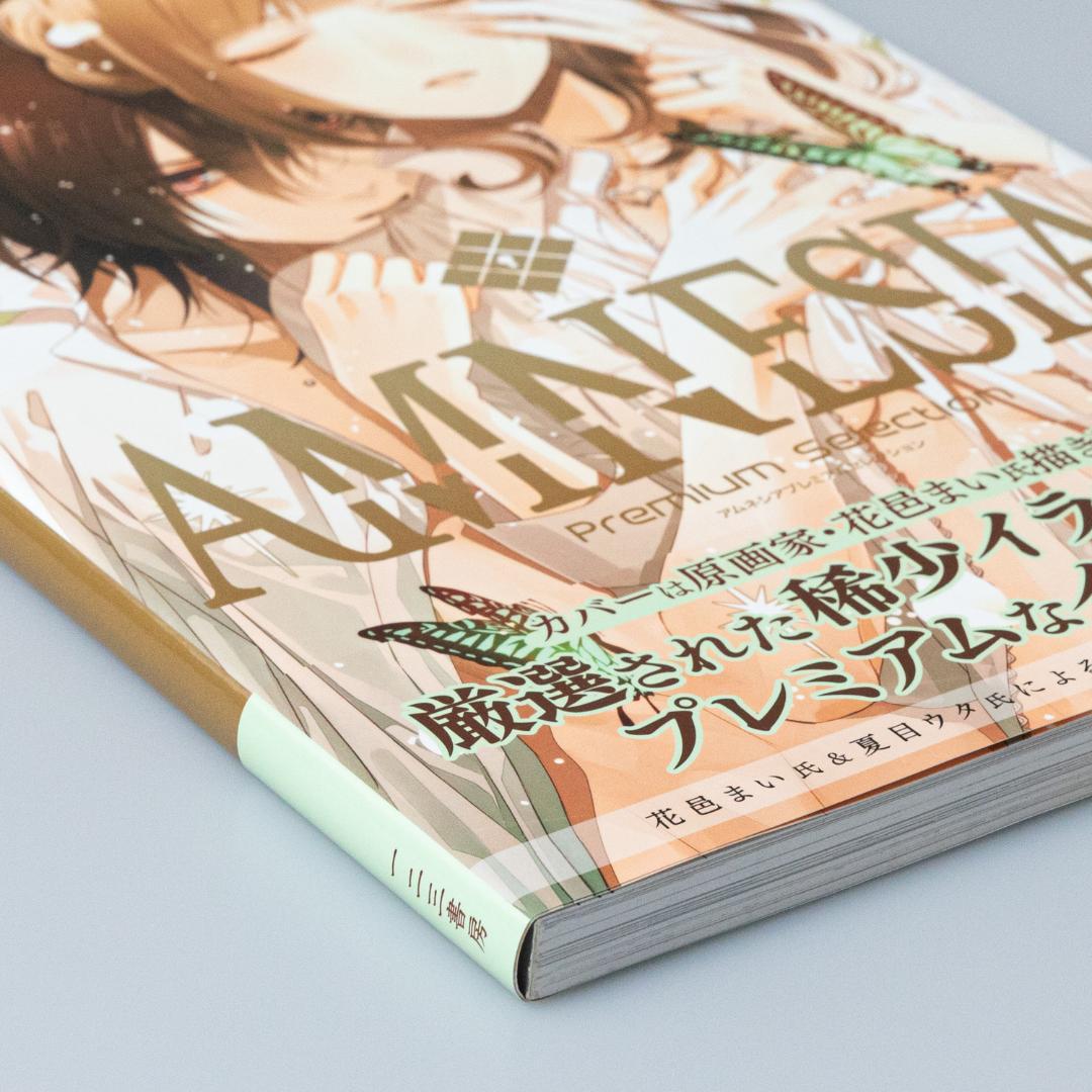 ＜初版・帯付き美品＞AMNESIA PREMIUM SELECTION