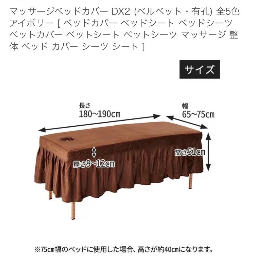 美品４点まとめ売り　施術ベッド、ベルベットシーツ、ベルベット枕、ホットカーペット