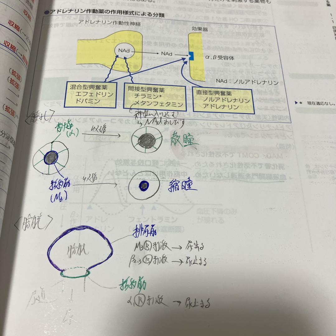 第110回薬剤師国家試験対策　青本•青問フルセット