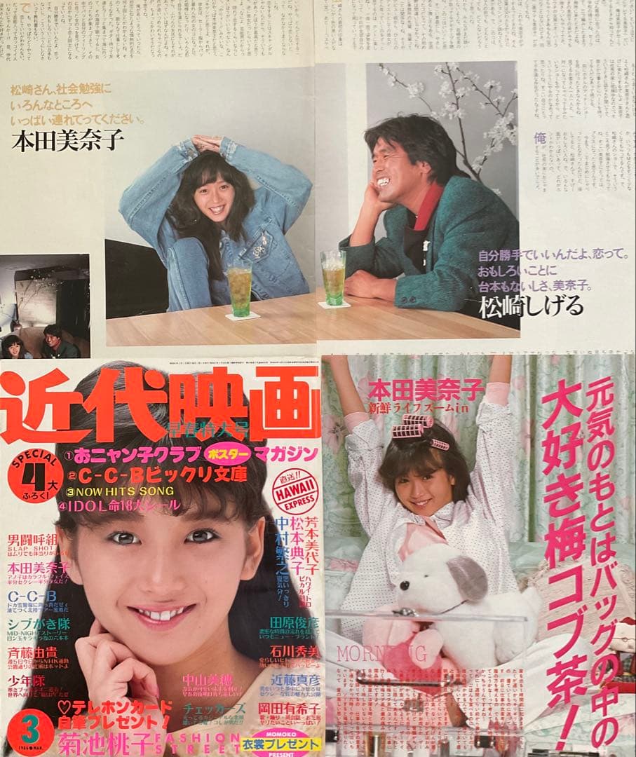 本田美奈子 切り抜き