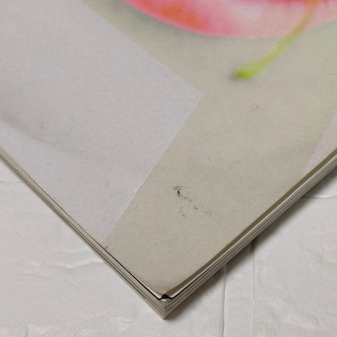 洋書 A Magazine #5 Curated by Martine Sitbon