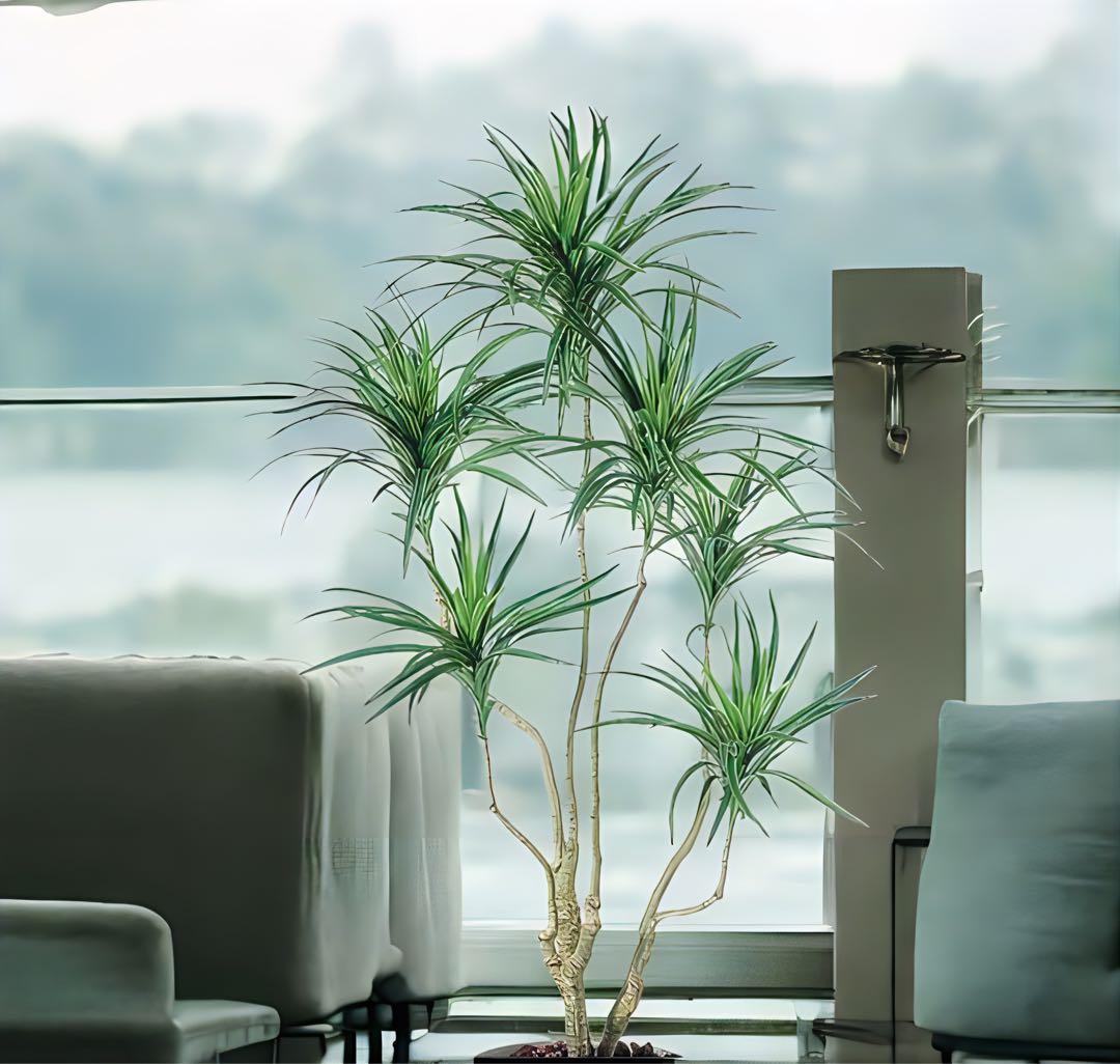 光触媒　人工観葉植物　ウォールグリーン　フェイクグリーン　コンシナトリコロル14