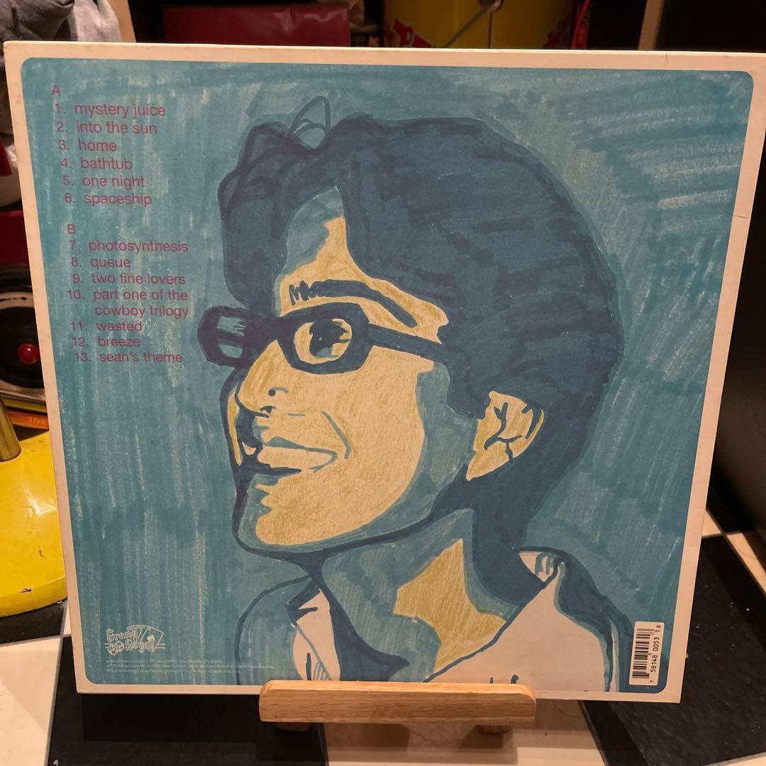 Sean Lennon Into the Sun レコード