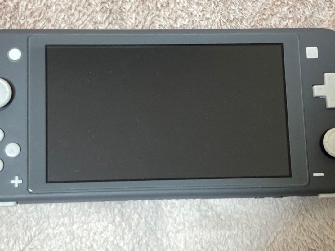 ★ジャンク品 動作確認済★ ニンテンドースイッチライト 充電器付き