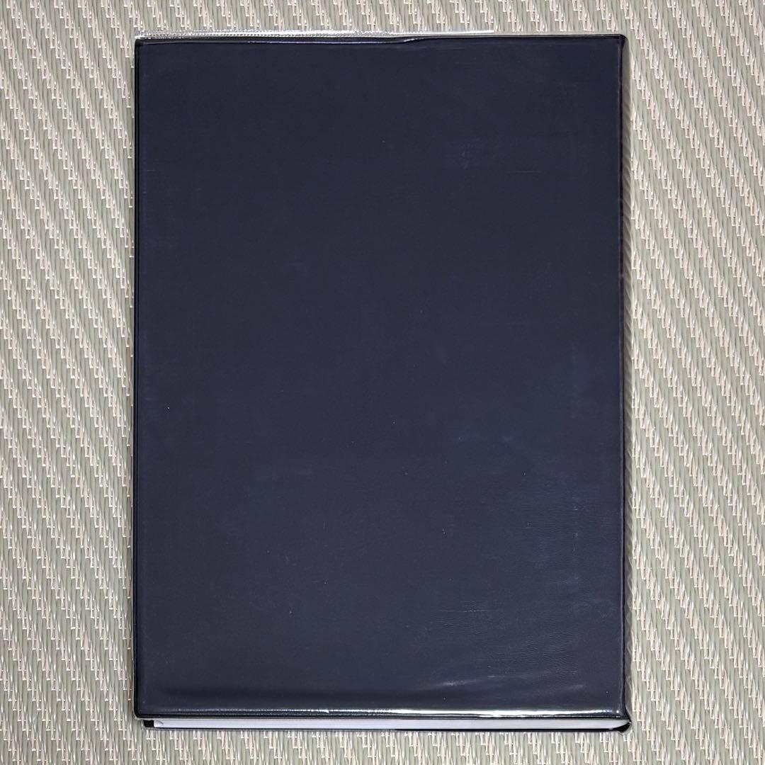 良品 人体惑星試論奥義書 客観的診断と再現性ある治療を求めて