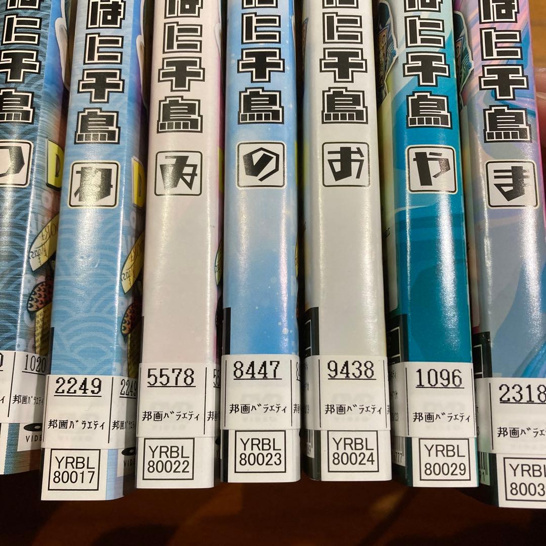 DVD いろはに千鳥　17枚セット　大吾　ノブ