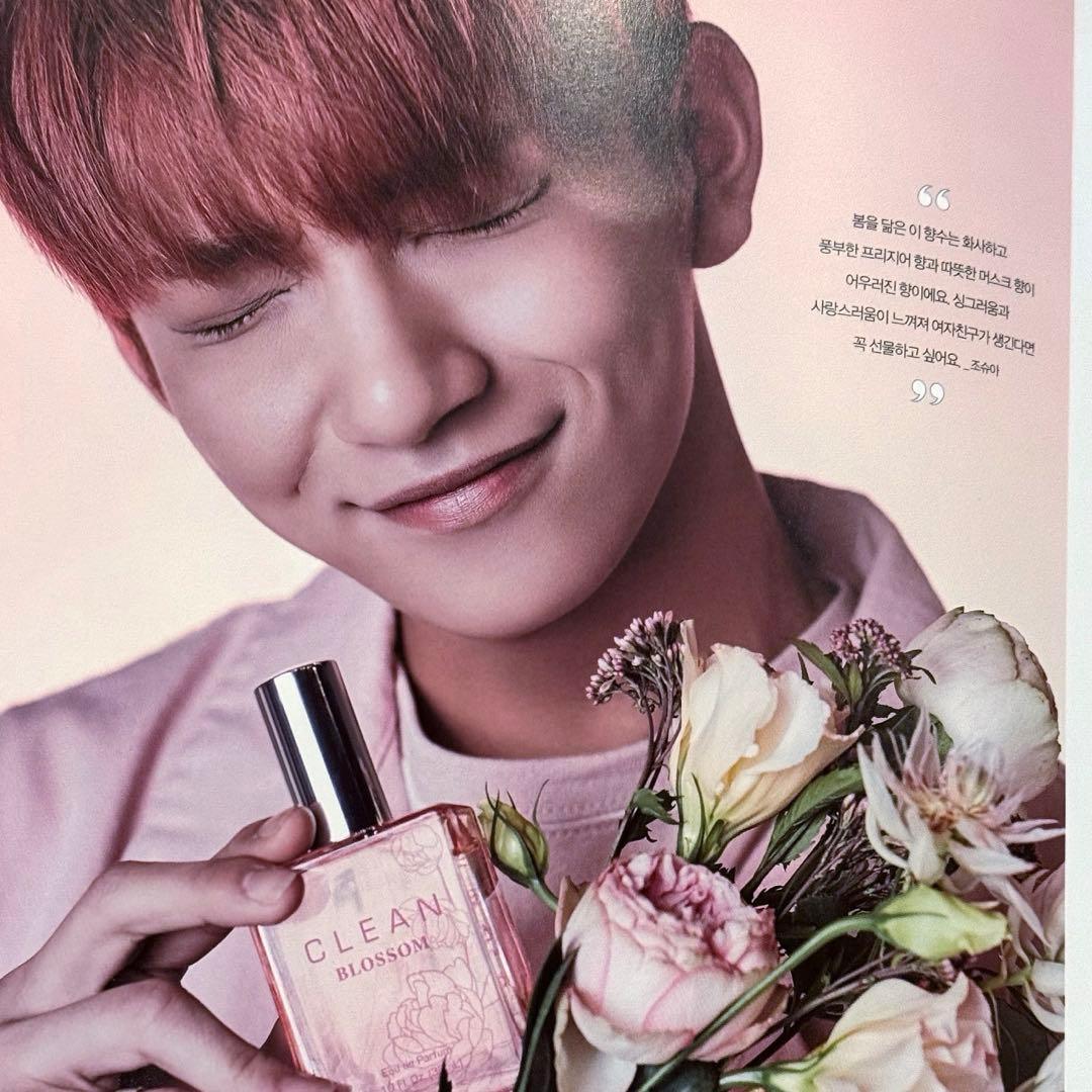 SEVENTEEN CLEAN クリーン フォトブック ウォヌジュン　ホシウジ