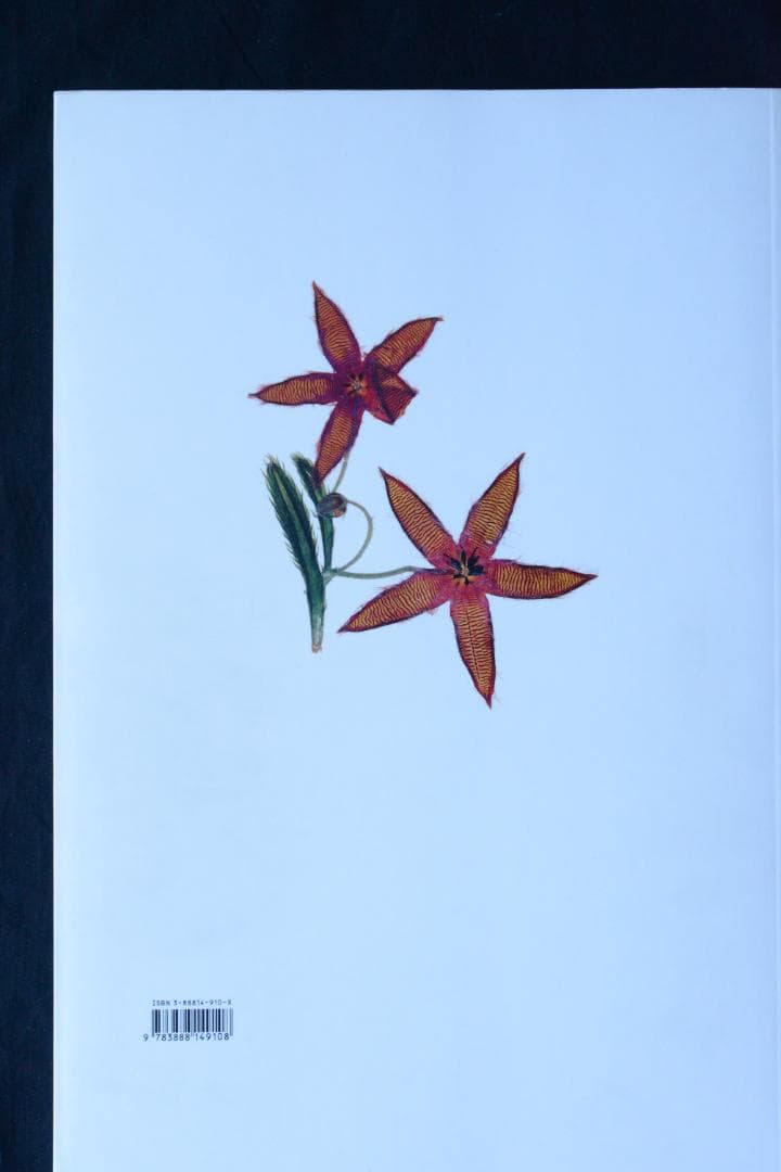 【Flora / Nick Knight】ニック・ナイト ★★未読品・美本