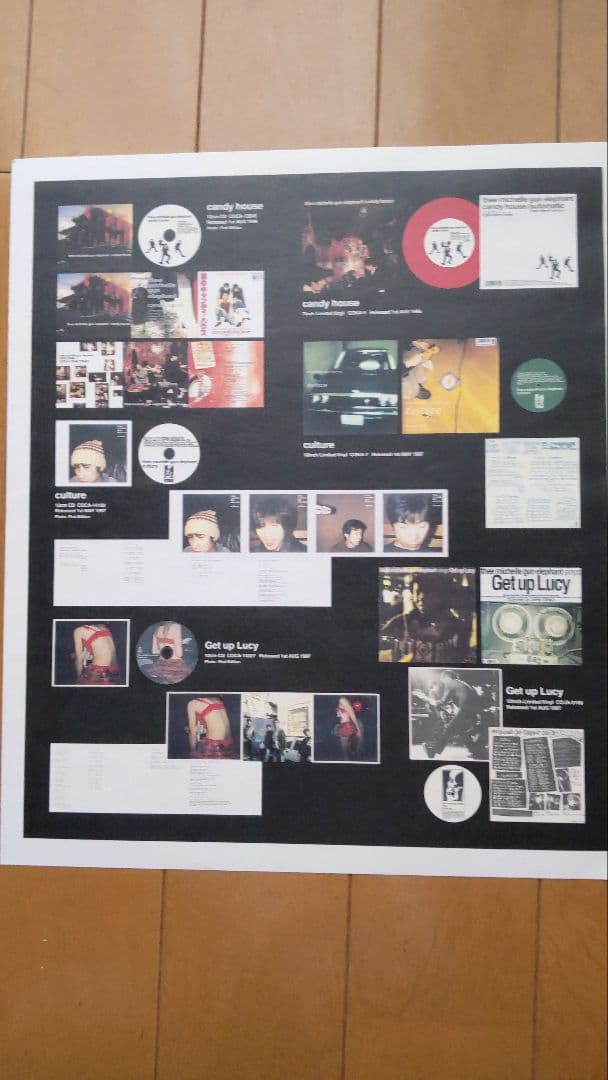 邦楽 THEE MICHELLE GUN ELEPHANT RUMBLE