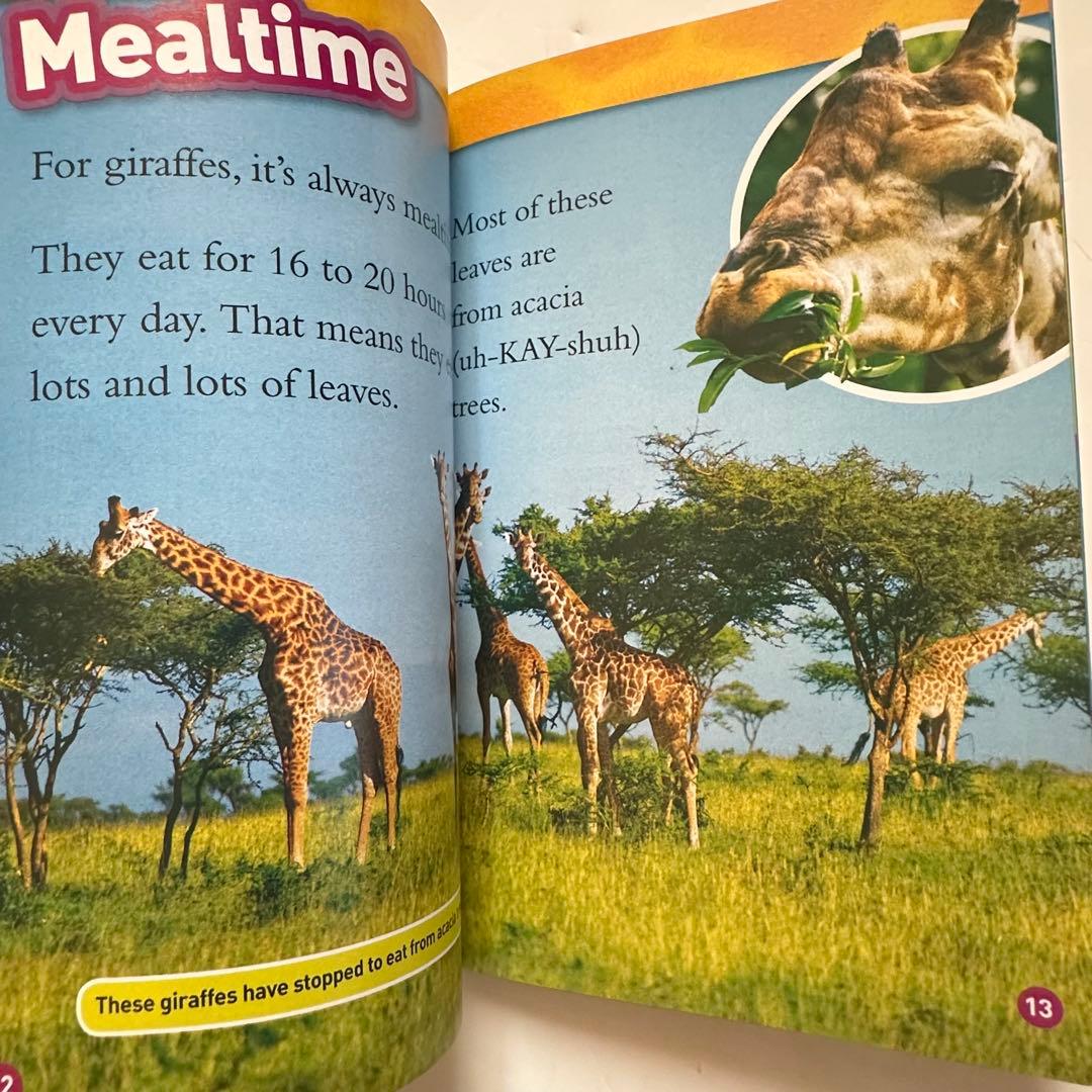 【レベル1】46冊 ナショジオNational Geographic kids