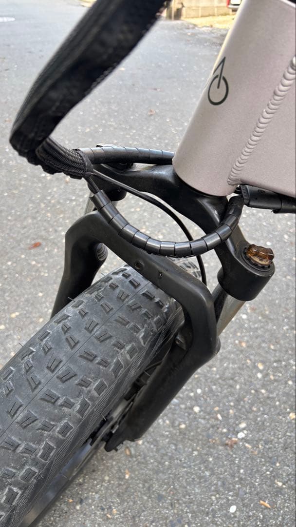 【希少カラー】MATE BIKE X Stering Moss