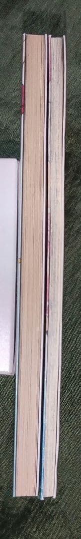 「彩雲国物語 Curtain Call」「彩雲国物語 彩色冊子」小冊子 セット