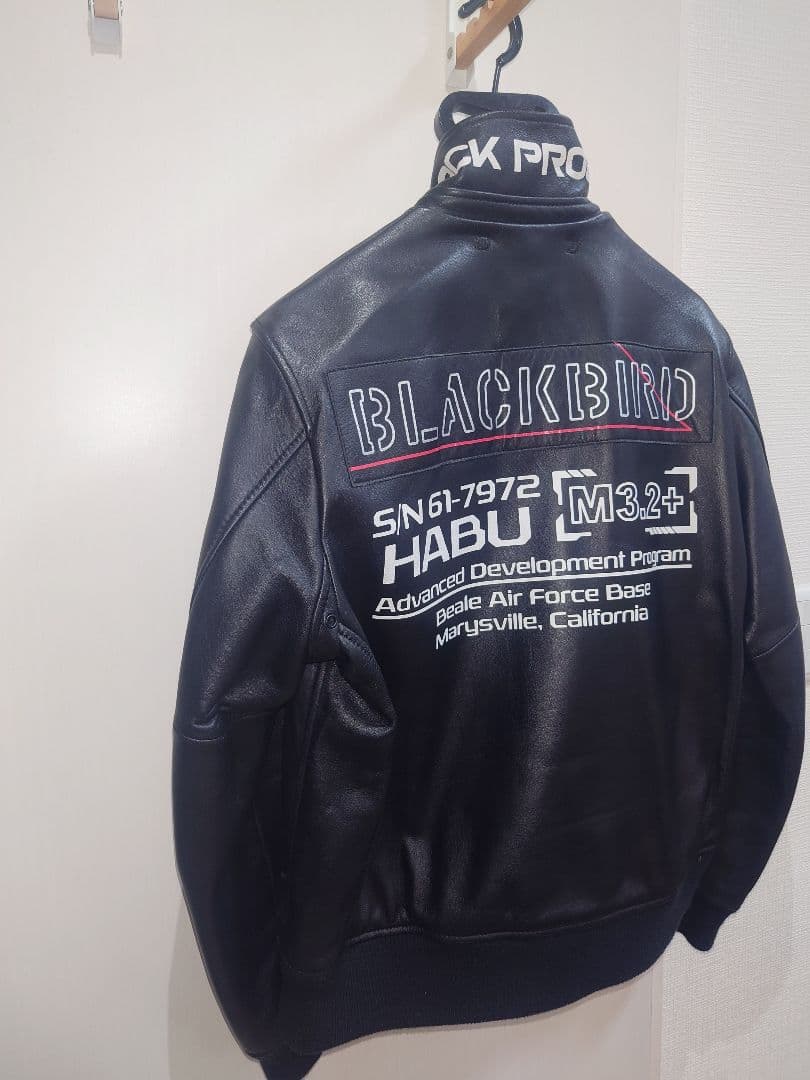 AVIREX レザージャケット ブラックバード BLACKBIRD